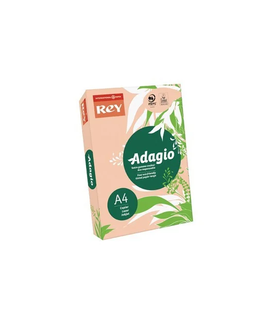 Resma 500 Folhas Papel Fotocópia Adagio A4 80g Intenso 55 Pessego Resma 500 Folhas Papel Fotocópia Adagio A4 80g Intenso 55 Pessego
