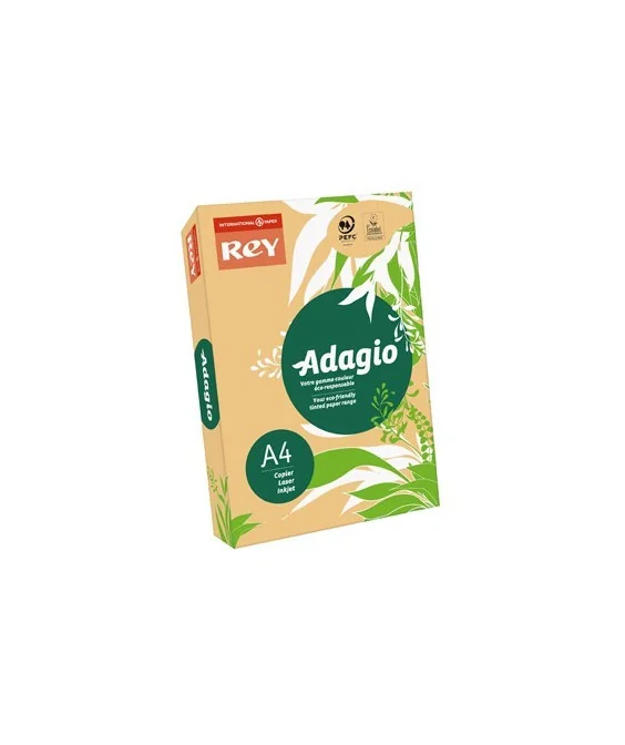 Resma 500 Folhas Papel Fotocópia Adagio A4 80g Intenso 60 Damasco Resma 500 Folhas Papel Fotocópia Adagio A4 80g Intenso 60 Damasco