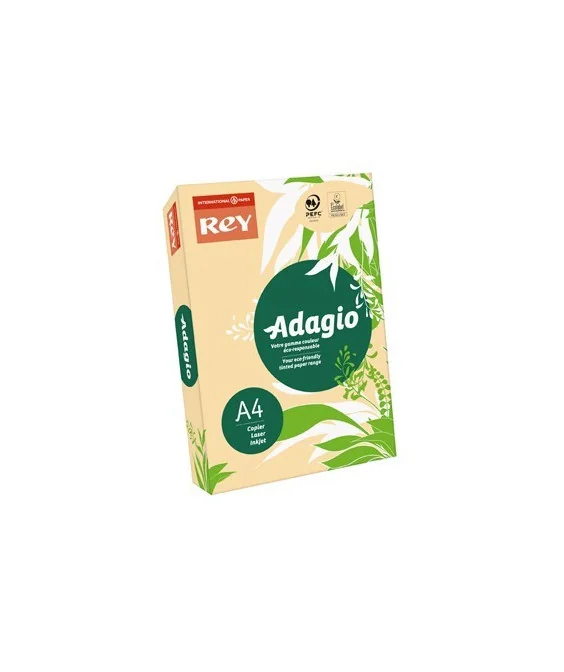 Resma 500 Folhas Papel Fotocópia Adagio A4 80g Suave 08 Salmão Resma 500 Folhas Papel Fotocópia Adagio A4 80g Suave 08 Salmão